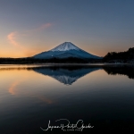 133-Mt-Fuji-Cherry-Blossom