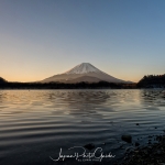 134-Mt-Fuji-Cherry-Blossom