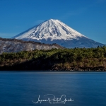 138-Mt-Fuji-Cherry-Blossom