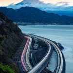 Japan-Cherry-Blossom-324-L