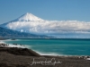 128-Mt-Fuji-Cherry-Blossom