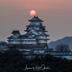 065-Himeji-Cherry-Blossom