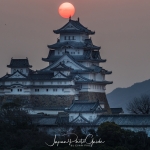 066-Himeji-Cherry-Blossom