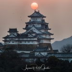 067-Himeji-Cherry-Blossom