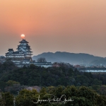 068-Himeji-Cherry-Blossom