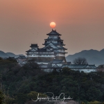 069-Himeji-Cherry-Blossom