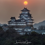 070-Himeji-Cherry-Blossom