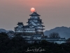 065-Himeji-Cherry-Blossom