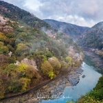 098-Kyoto-Cherry-Blossom