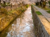 Japan-Cherry-Blossom-194-L