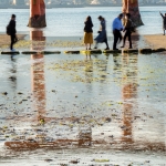 044-Miyajima-Cherry-Blossom