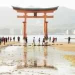 046-Miyajima-Cherry-Blossom