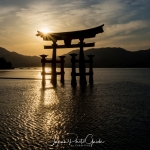047-Miyajima-Cherry-Blossom