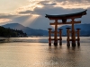 033-Miyajima-Cherry-Blossom