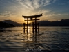 049-Miyajima-Cherry-Blossom