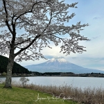 IMG_7336-e