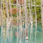 blue-pond-001