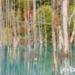 blue-pond-002