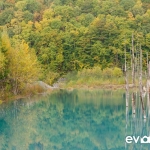 blue-pond-003