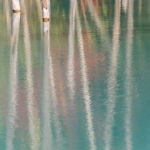 blue-pond-005