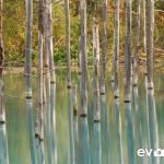 blue-pond-006