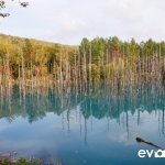 blue-pond-007