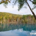 blue-pond-008