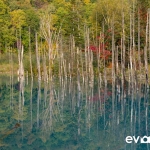 blue-pond-009