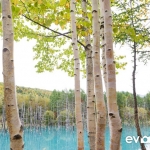 blue-pond-012