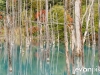 blue-pond-002