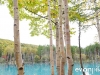 blue-pond-012