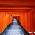 fushimi-inari-shrine-001