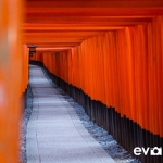 fushimi-inari-shrine-002