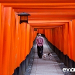 fushimi-inari-shrine-003