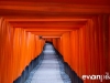 fushimi-inari-shrine-001