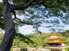 golden-pavilion-003