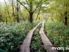 kamikochi-JapanPhotoGuide-042