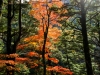 kamikochi-JapanPhotoGuide-044