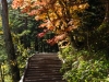 kamikochi-JapanPhotoGuide-045