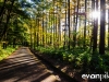 kamikochi-JapanPhotoGuide-049