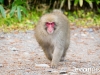 kamikochi-JapanPhotoGuide-054