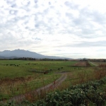 kamikawa-angus-farm-003