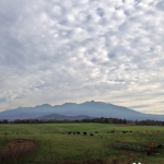 kamikawa-angus-farm-004