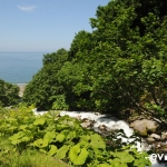 oshinkoshin-falls-005