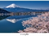 Kawaguchiko-Mt-Fuji-Japan-Photo-Guide136