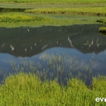 shiretoko-five-lakes-002