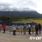 shiretoko-five-lakes-020