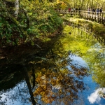 Taisho Pond-JapanPhotoGuide-031