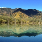 Taisho Pond-JapanPhotoGuide-040