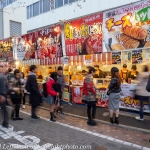 Japan-Cherry-Blossom-49-L